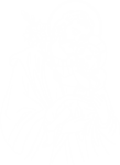 Animate Image
